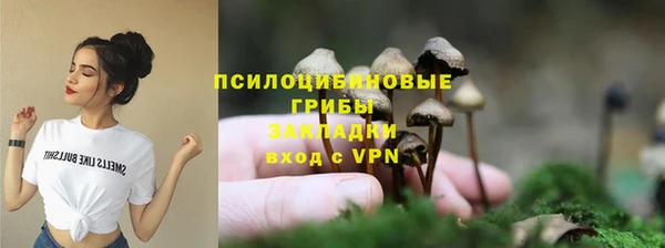 ПСИЛОЦИБИНОВЫЕ ГРИБЫ Алексин