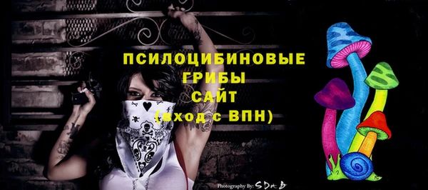 ПСИЛОЦИБИНОВЫЕ ГРИБЫ Алексин