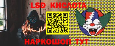амф Камышлов