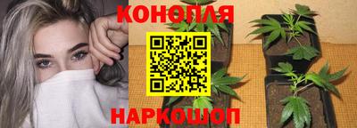 а пвп мука Кингисепп