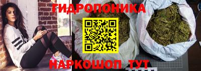 apvp Кимры
