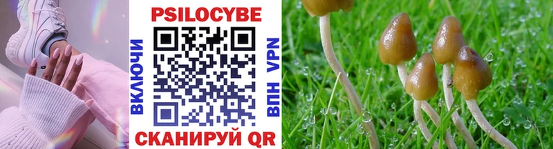Псилоцибиновые грибы мухоморы  Красноярск 