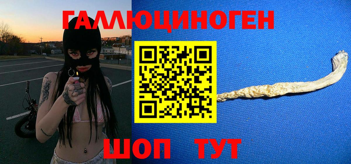 Галлюциногенные грибы мухоморы Красноярск