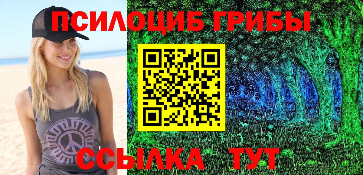 Красноярск  Галлюциногенные грибы Psilocybine cubensis  где продают   Вход с VPN 